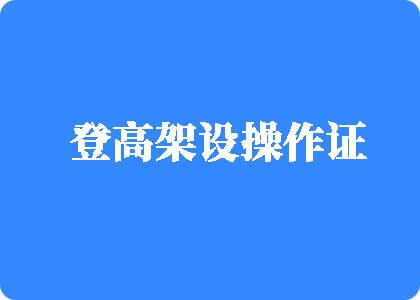 日我曰—B登高架设操作证